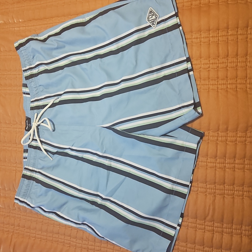 PacSun Blue and White Swim Trunks with Vertical Stripes
